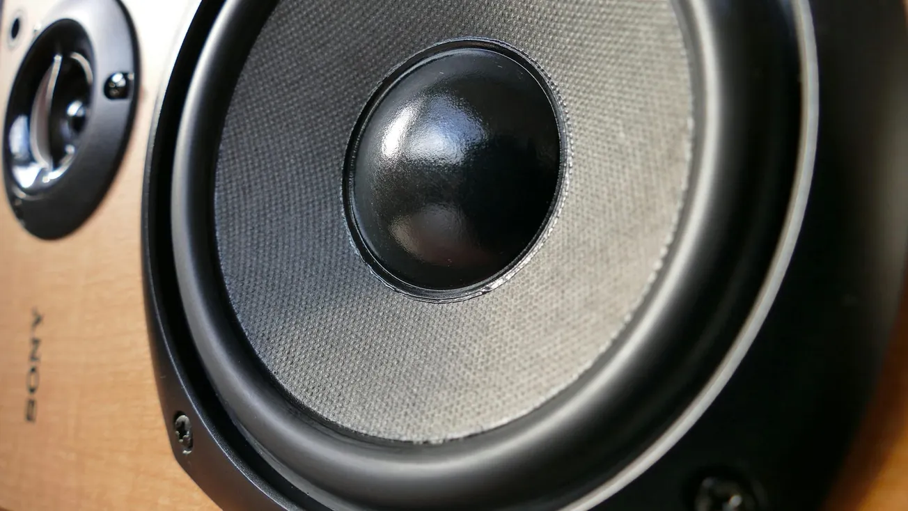 Close-up of a speaker showing a large black cone and metal edge, mounted on a wooden surface. 