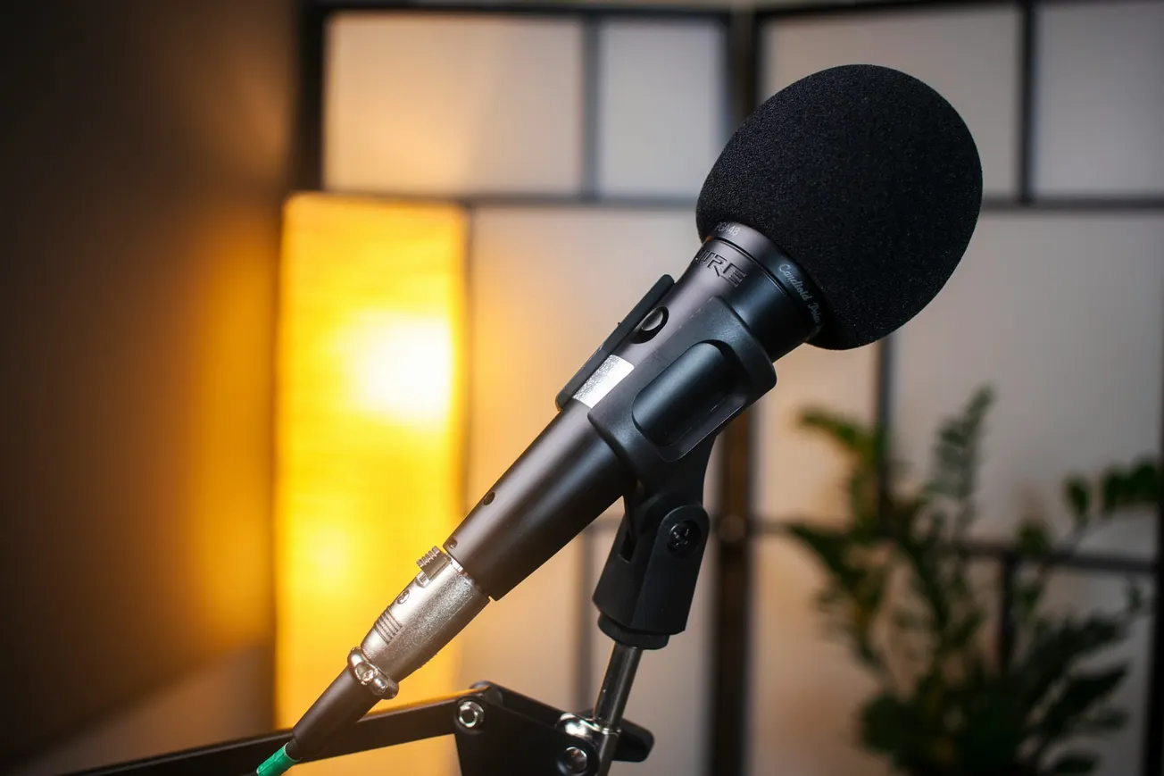 A black microphone on a boom arm stands in focus against a softly lit background featuring a glowing lamp and blurred indoor plants, creating a cozy ambiance.