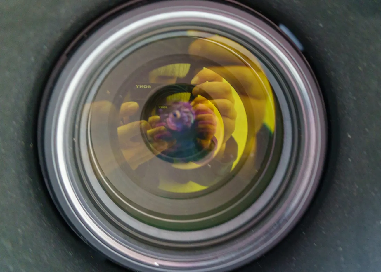 Close-up of a camera lens reflecting a person holding a toy camera, surrounded by soft light. The image conveys a sense of curiosity and creativity.
