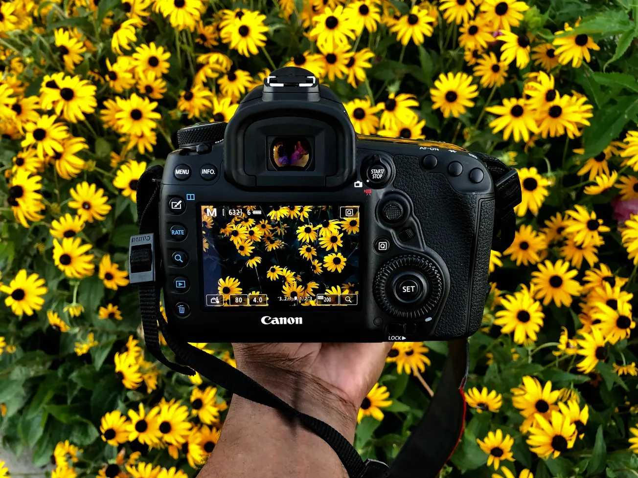 A person holds a Canon camera aimed at vibrant yellow flowers with dark centers. The camera display shows a clear view of the flowers, highlighting nature's beauty.