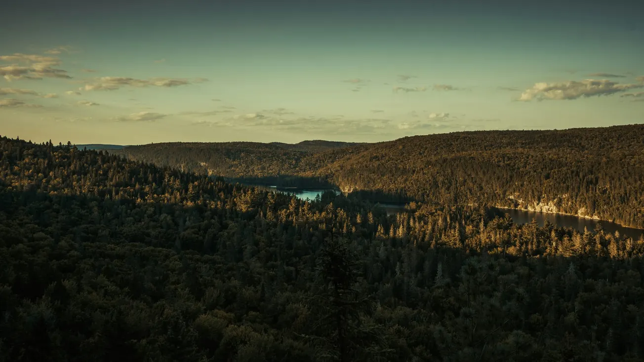 A serene landscape of dense forest with a winding river reflecting the warm evening light, against a backdrop of hills under a soft, cloudy sky.