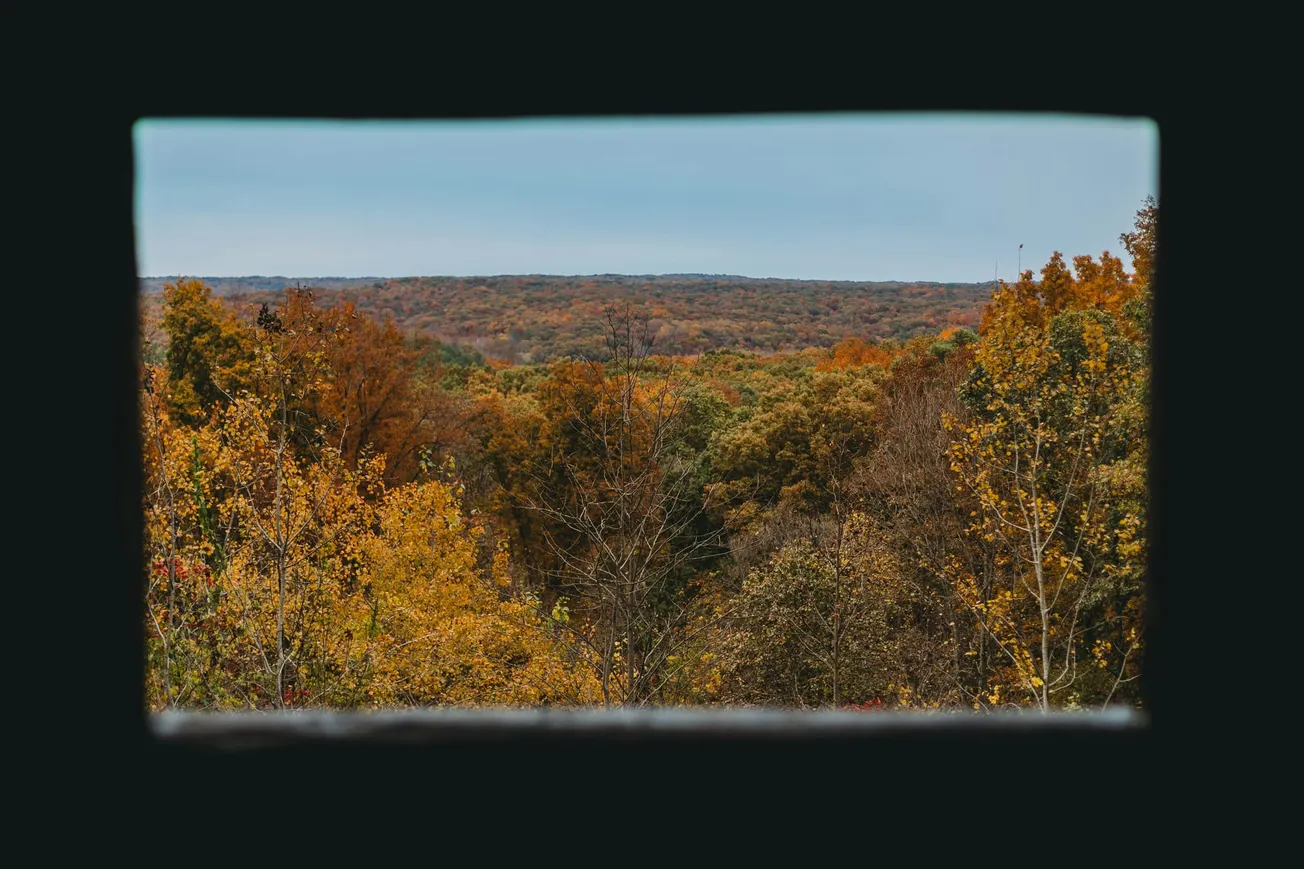 View through a window of a vibrant autumn forest with trees in shades of orange, yellow, and green. The scene conveys a serene and picturesque landscape.