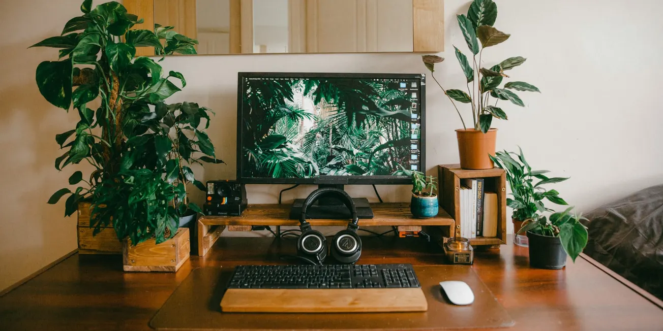 A cozy, organized desk with a computer displaying a lush jungle wallpaper. Surrounded by green houseplants, headphones, keyboard, and books, creating a calming, natural vibe.