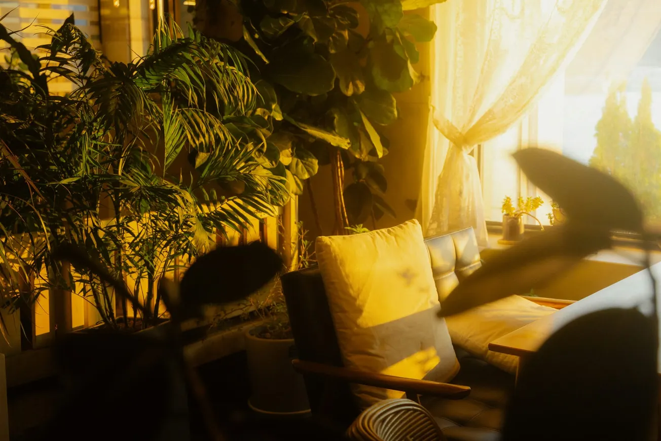 A sunlit room with lush green plants, a cozy armchair, and soft cushions. Warm sunlight streams through sheer curtains, creating a peaceful ambiance.