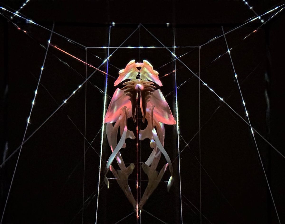 Уран бүтээлч Б.Бат-Эрдэнэ “Савдаг” үзэсгэлэнгээ CAB орон зайд нээлээ