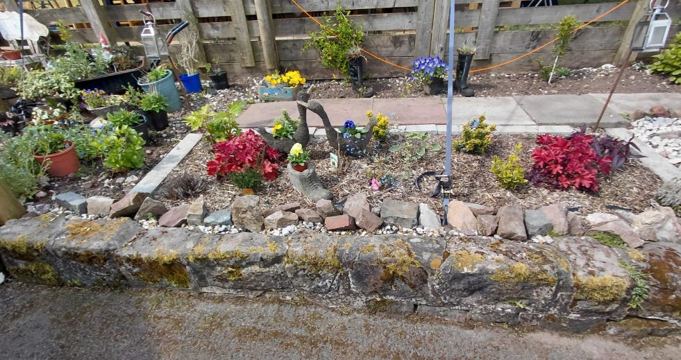 Bolton Gate garden