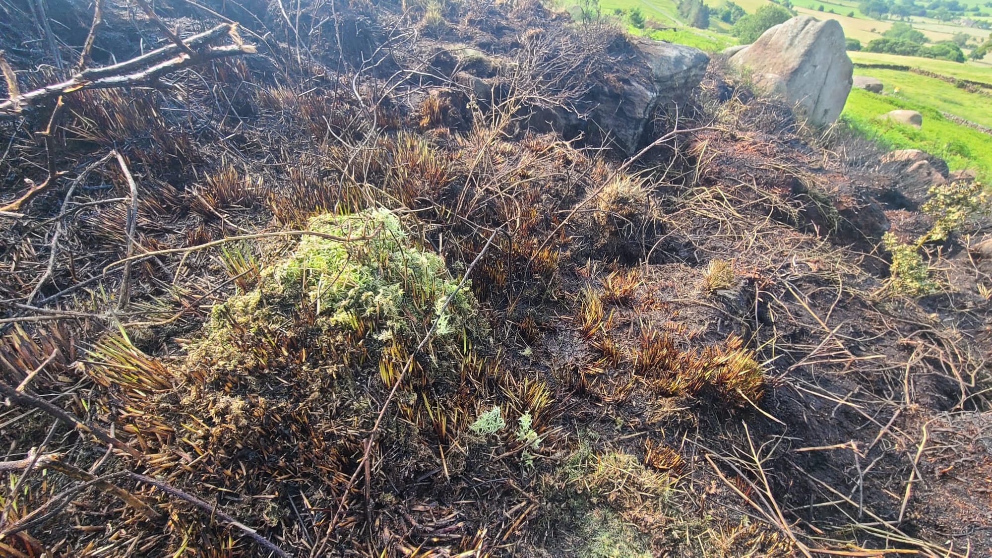 Urgent Plea for Donations as Fire Risk Soars with Temperatures