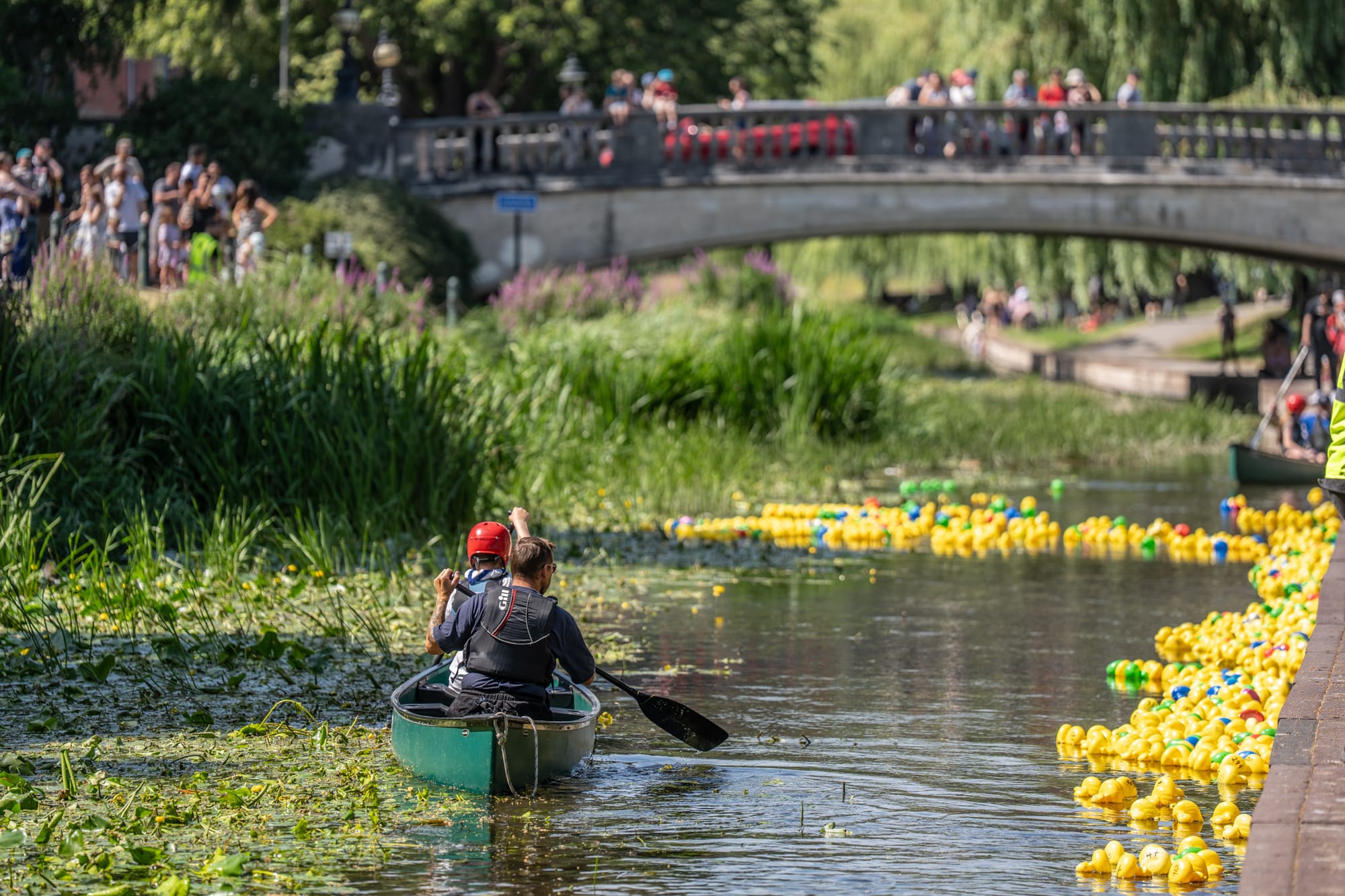 Thousands flock to Stafford’s Party in the Park and annual Duck Race