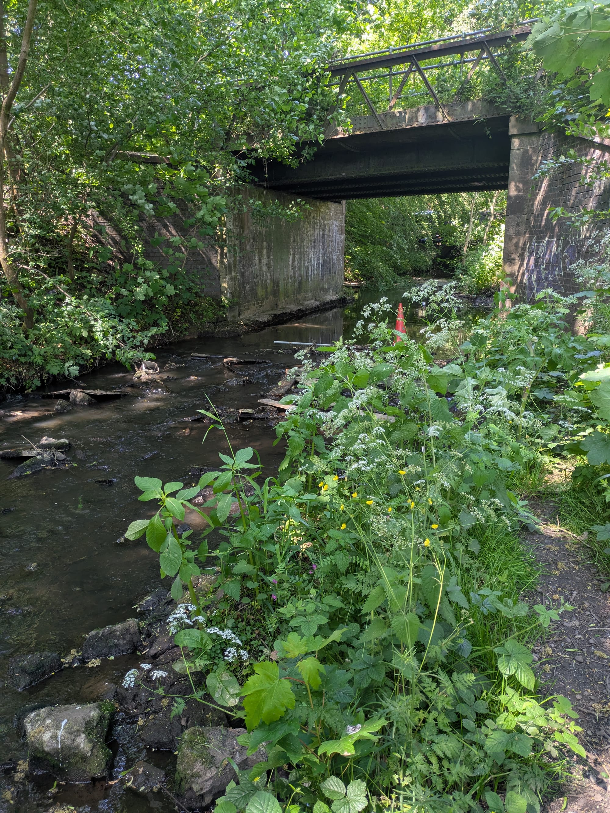 Bucknall Park in Stoke-on-Trent to become a richer home for wildlife with new restoration work