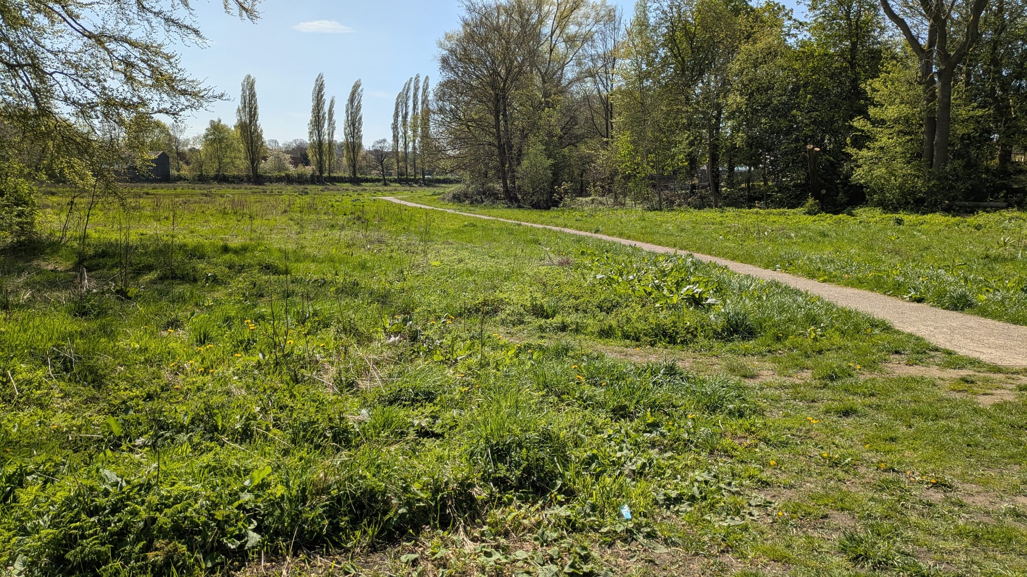 Bucknall Park in Stoke-on-Trent to become a richer home for wildlife with new restoration work