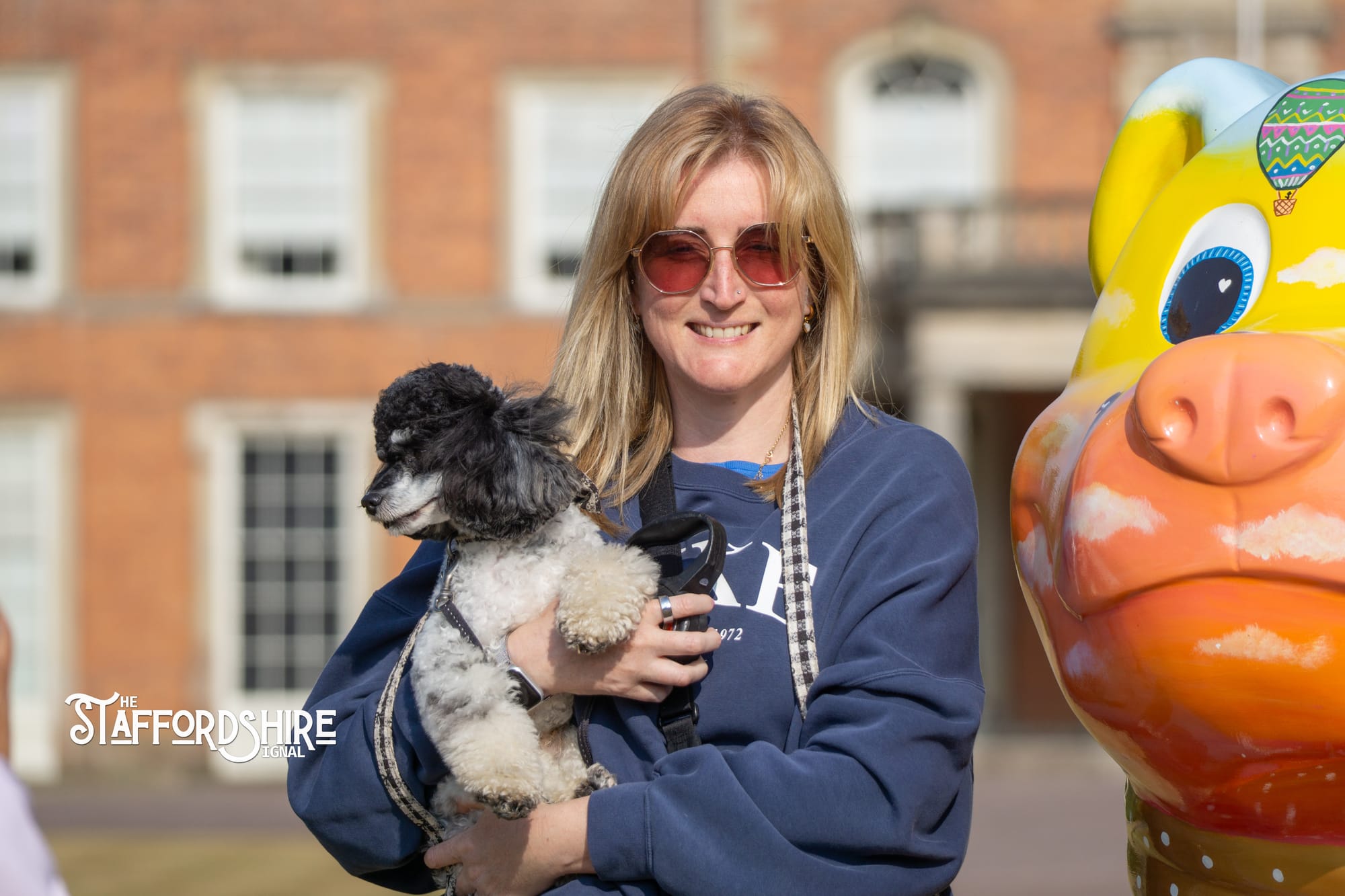 Big Staffy Stroll Brings Staffordshire’s Ten Week Staffy Trail to a Celebratory Close