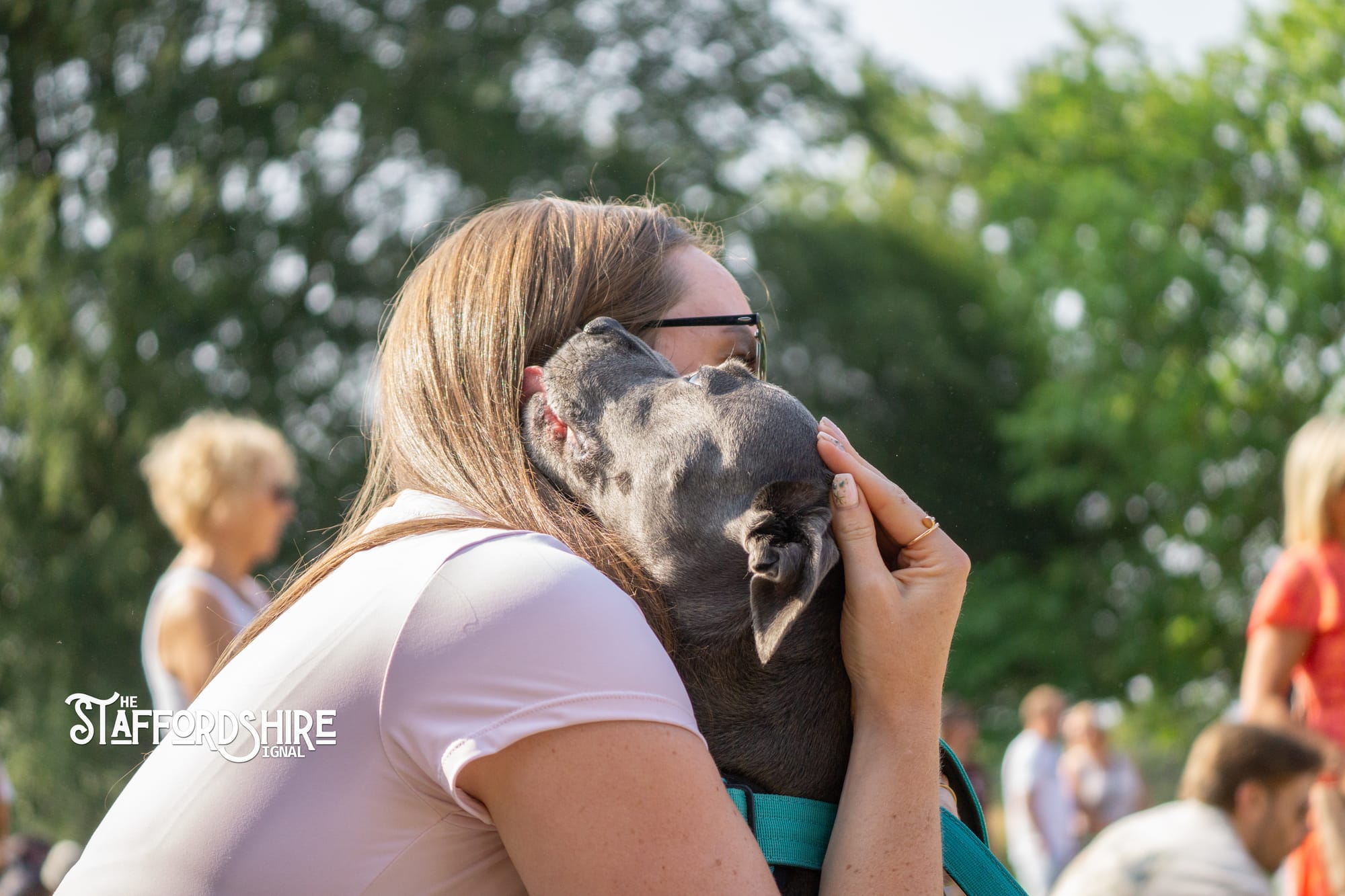 Big Staffy Stroll Brings Staffordshire’s Ten Week Staffy Trail to a Celebratory Close