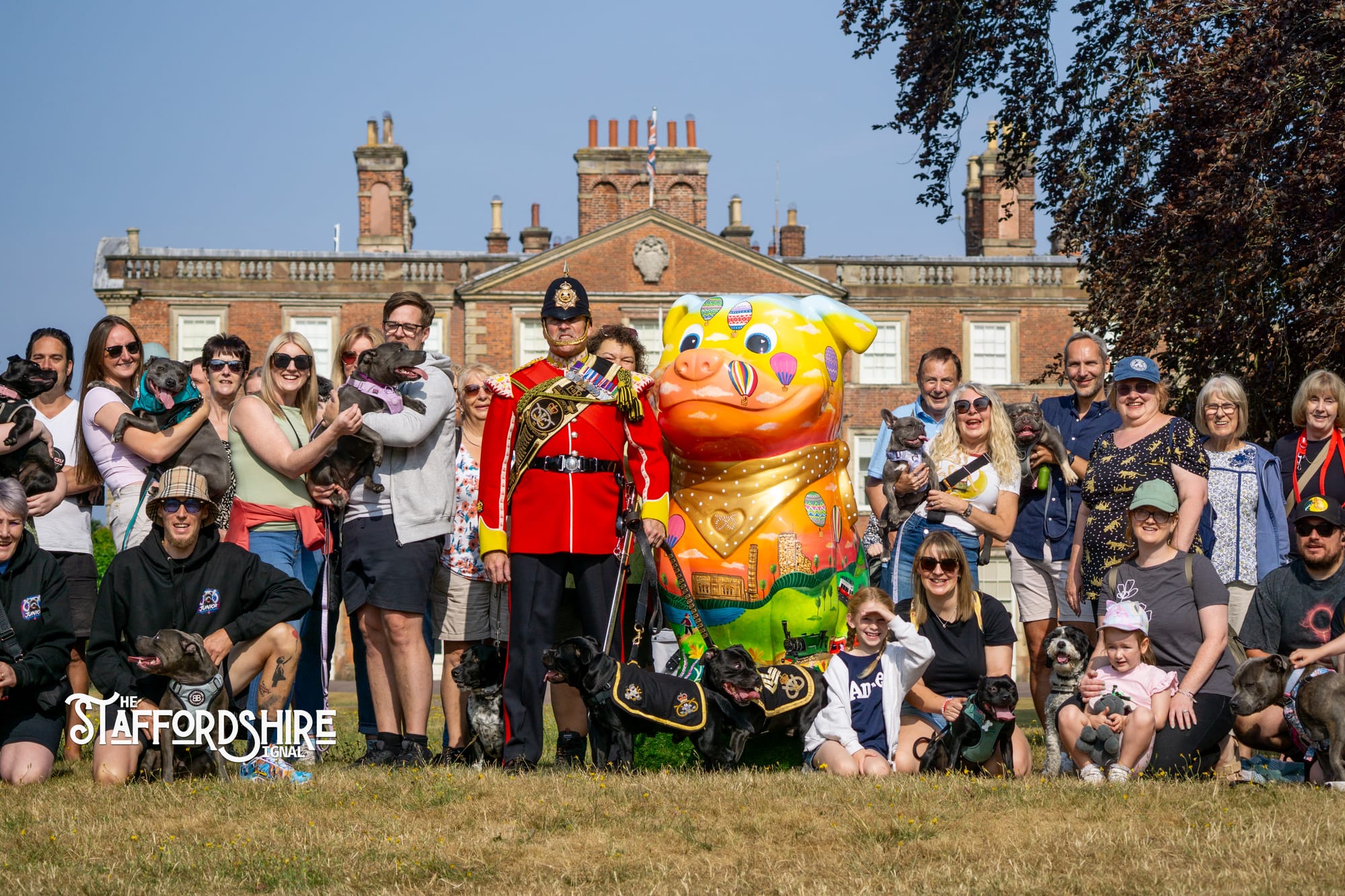 Big Staffy Stroll Brings Staffordshire’s Ten Week Staffy Trail to a Celebratory Close