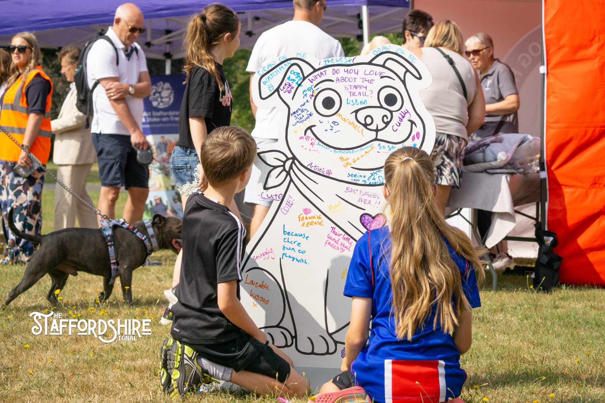 Big Staffy Stroll Brings Staffordshire’s Ten Week Staffy Trail to a Celebratory Close