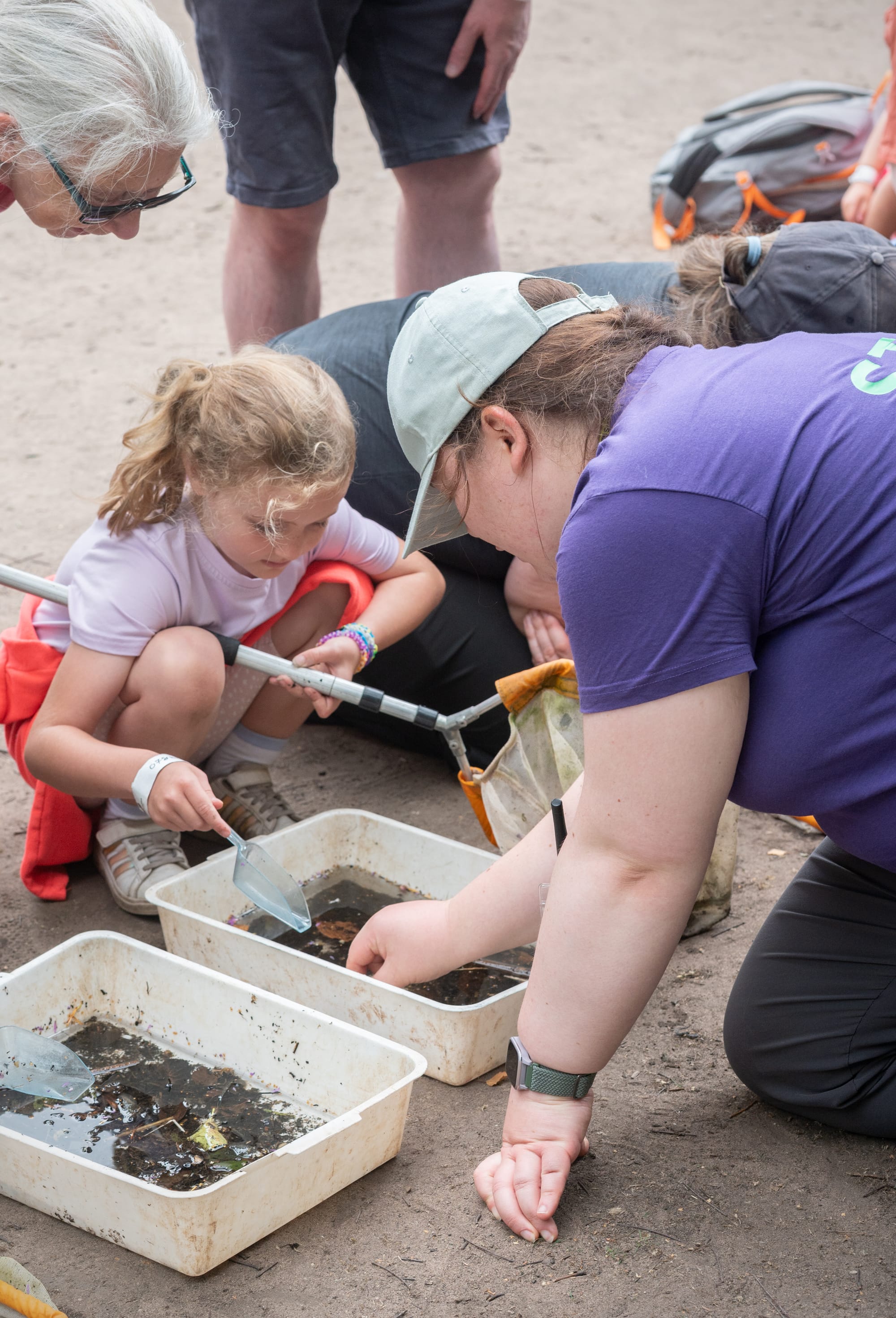 Hundreds enjoy nature themed Playday with Staffordshire Wildlife Trust