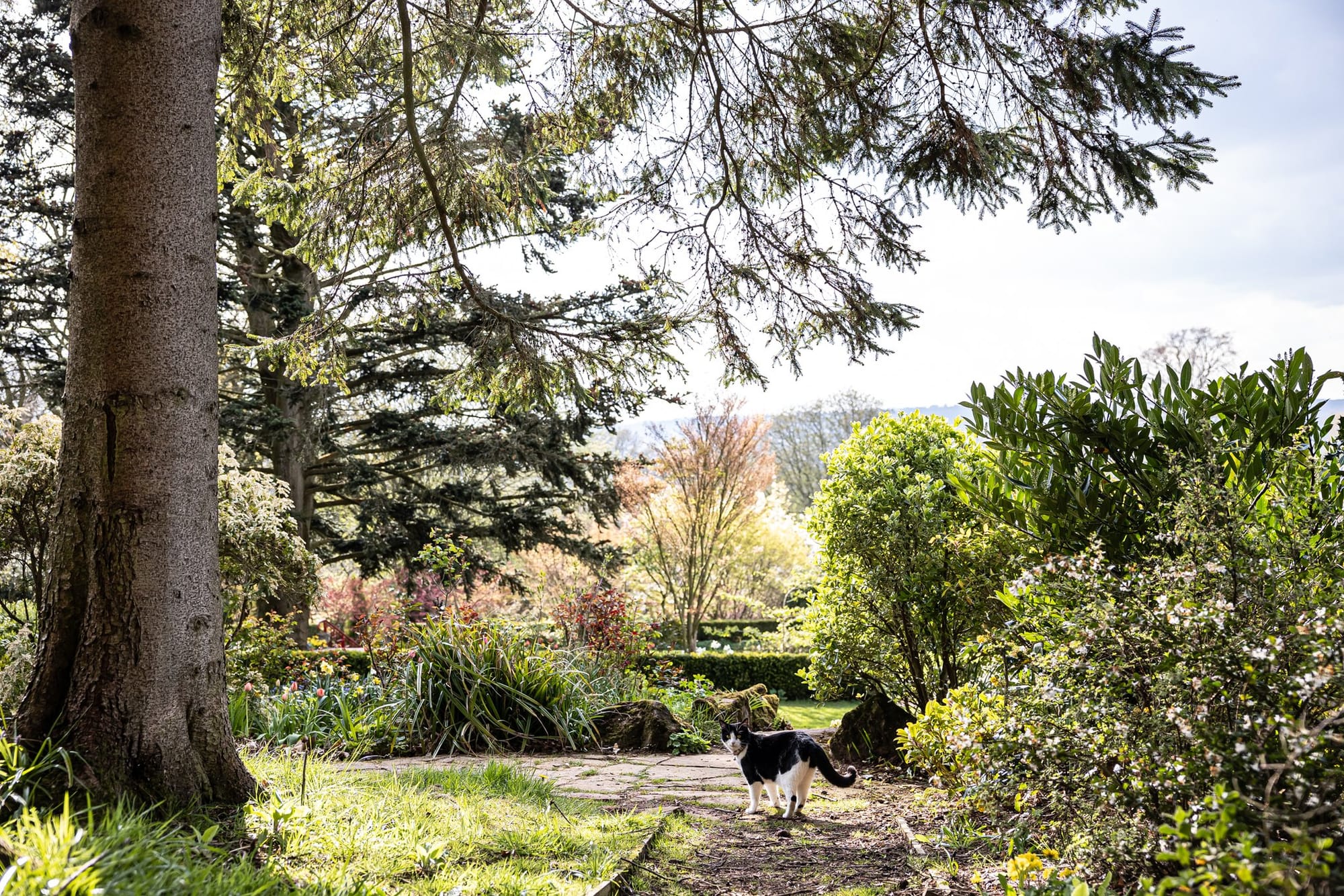 From Wedgwood Family Home to Staffordshire Favourite: The Upper House Celebrates 30 Years