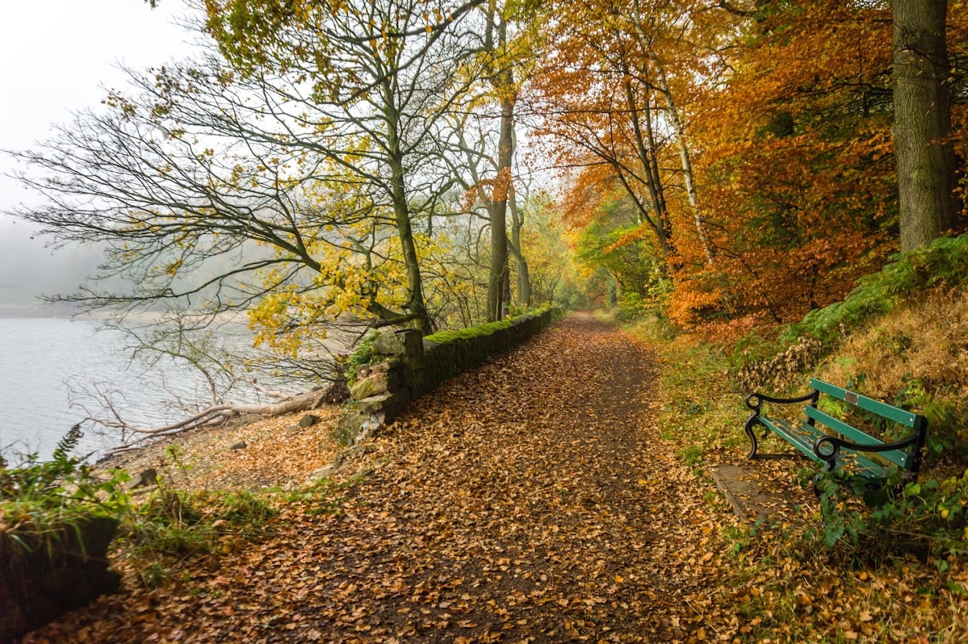 Coming Soon - The Staffordshire Signal Autumn Edition 2026: Our First Special Edition Magazine, Packed With Things to Do This Autumn