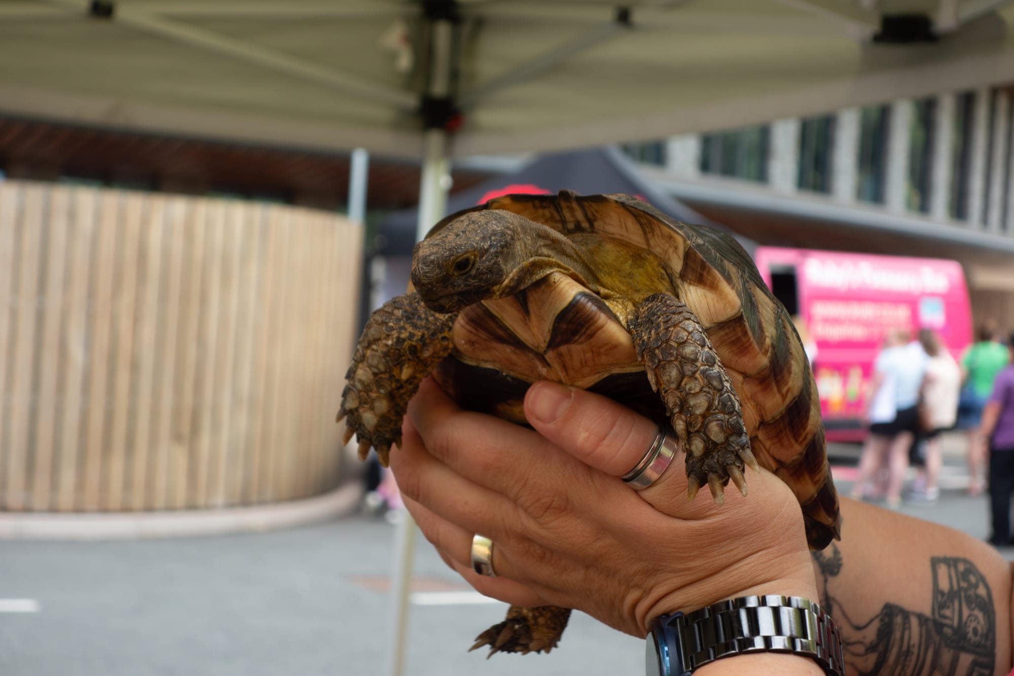 Families Explore Caudwell Children’s Keele Centre at Inclusive Open Day