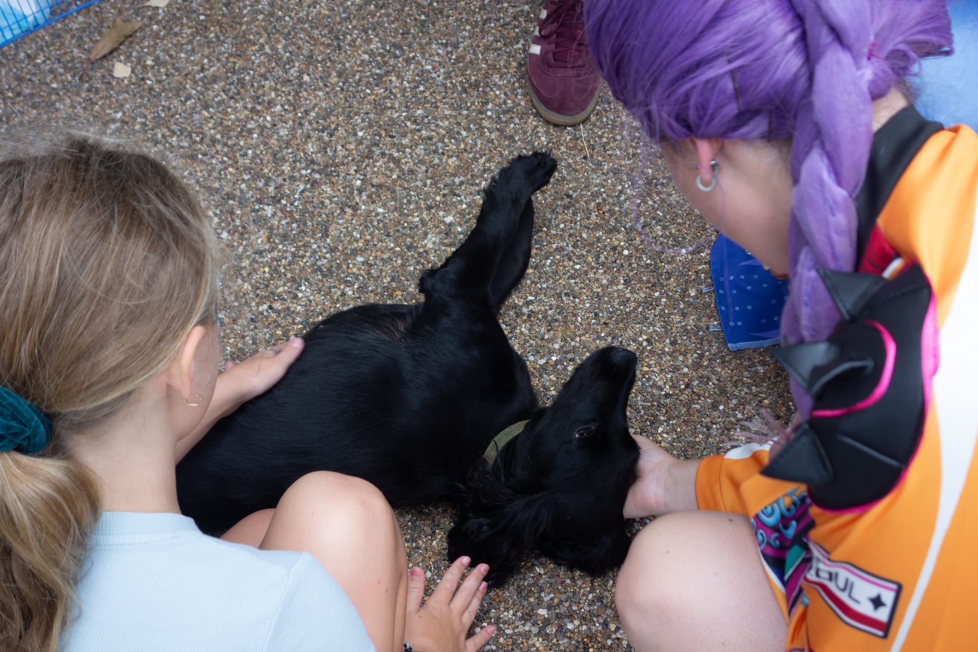 Families Explore Caudwell Children’s Keele Centre at Inclusive Open Day