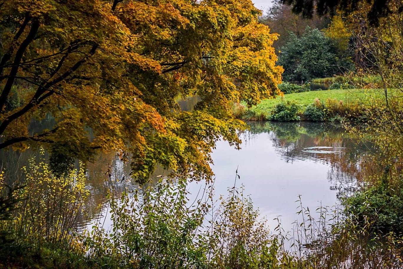 Coming Soon - The Staffordshire Signal Autumn Edition 2026: Our First Special Edition Magazine, Packed With Things to Do This Autumn