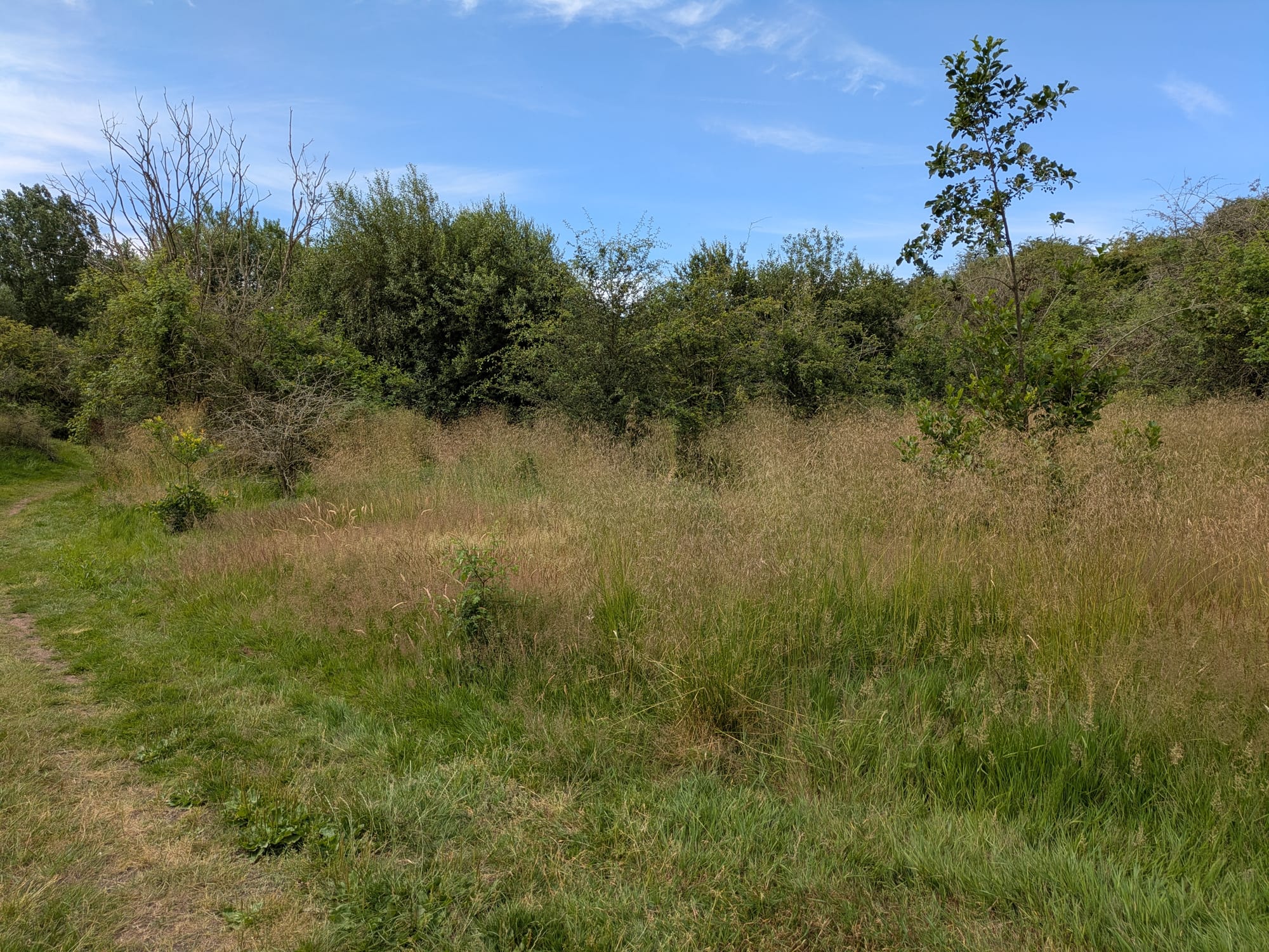 Nature set to thrive as Ford Green Brook restoration creates new habitats
