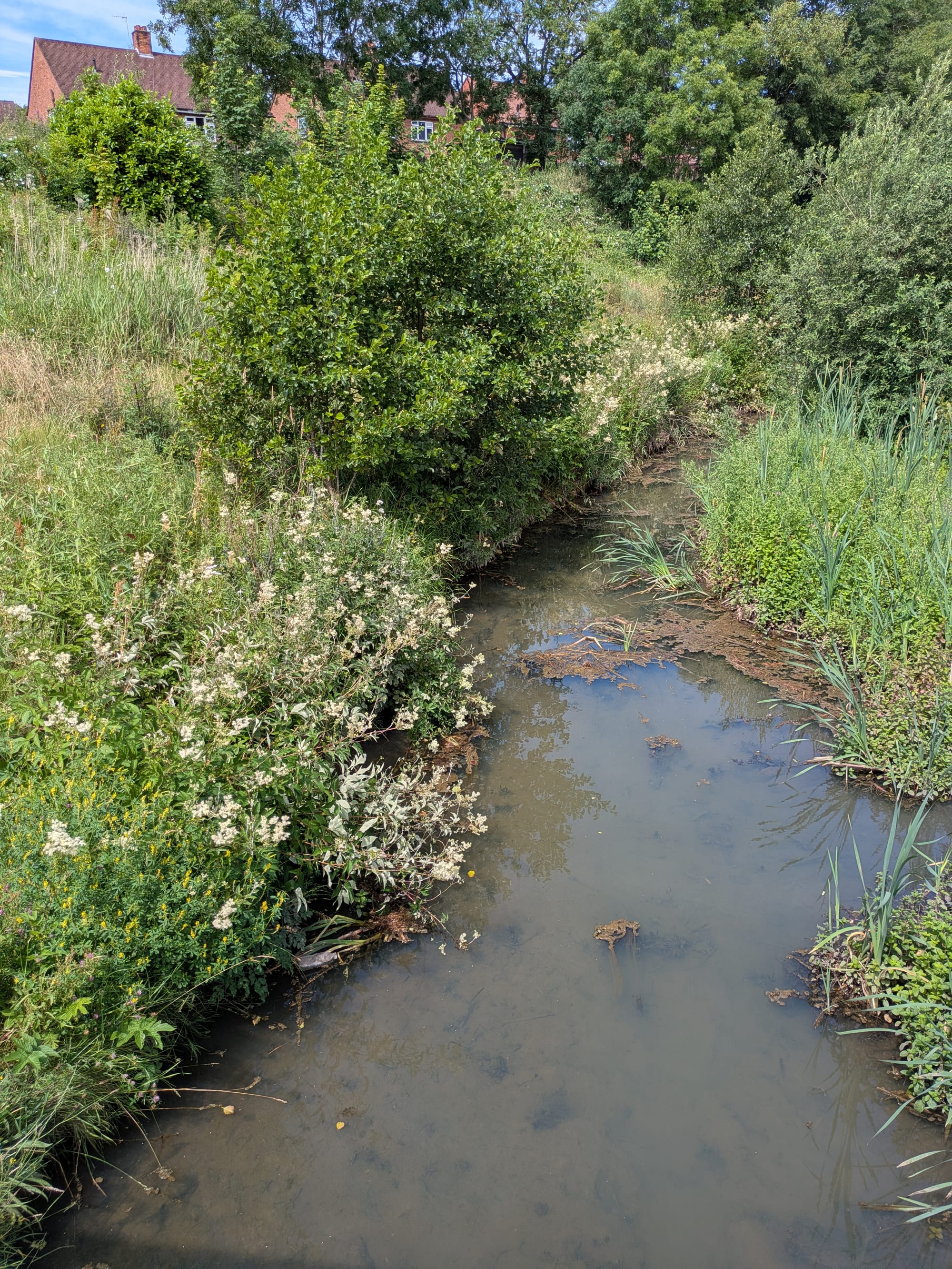 Nature set to thrive as Ford Green Brook restoration creates new habitats