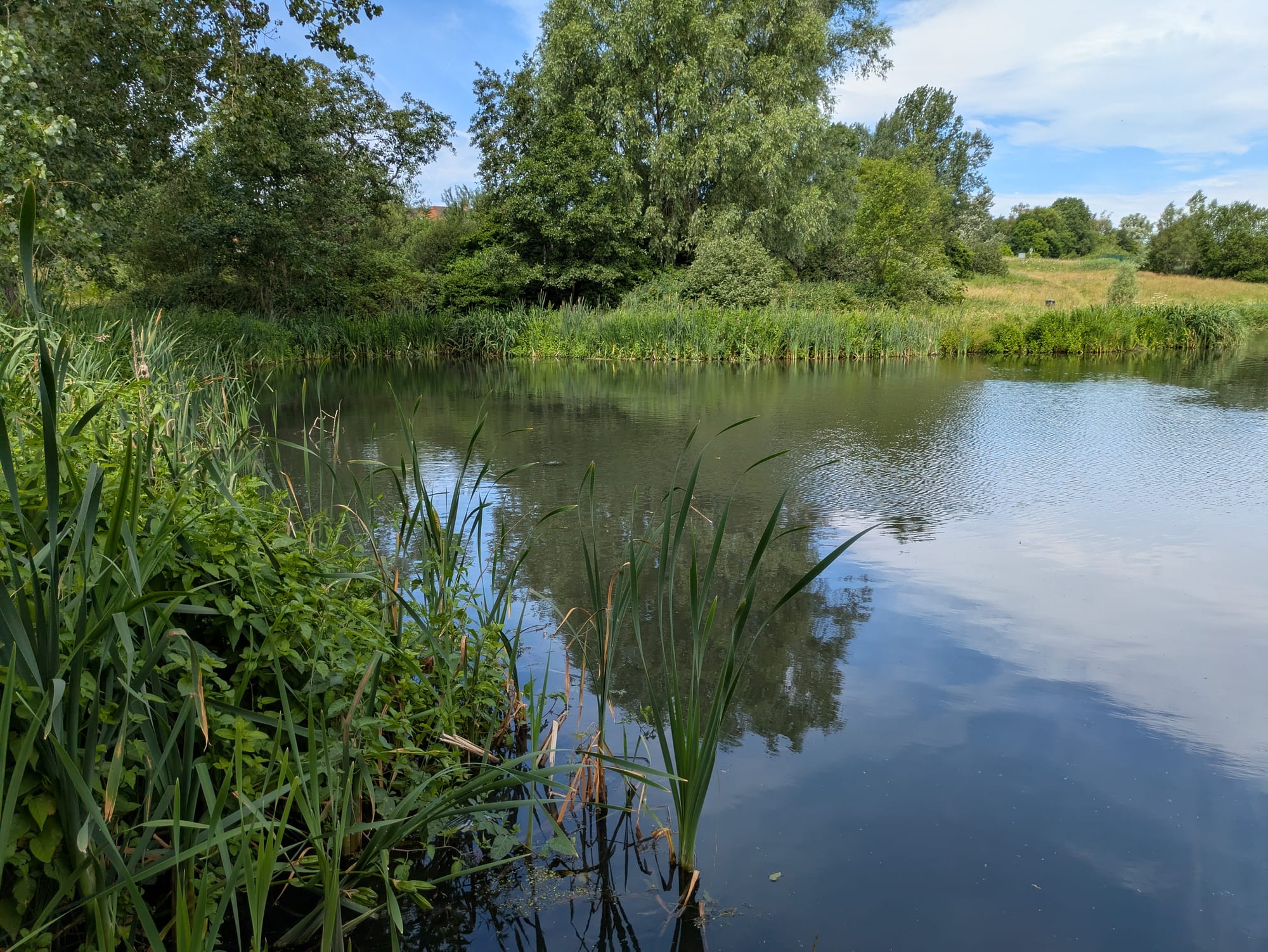 Nature set to thrive as Ford Green Brook restoration creates new habitats