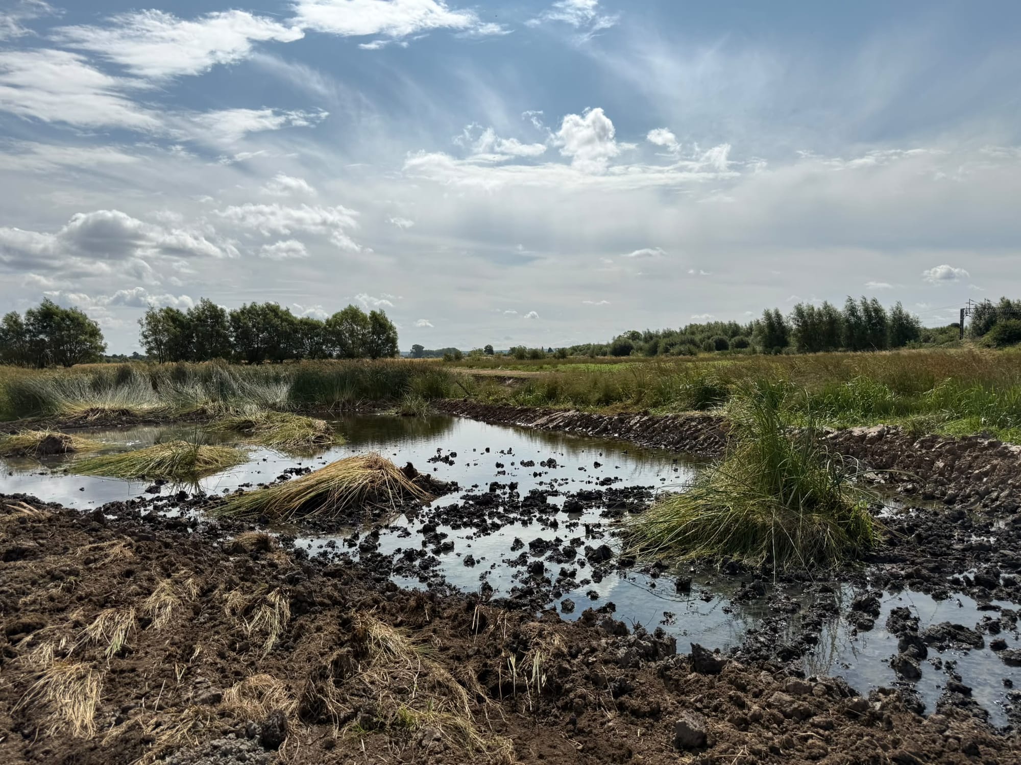 El Niño is coming but nature can help