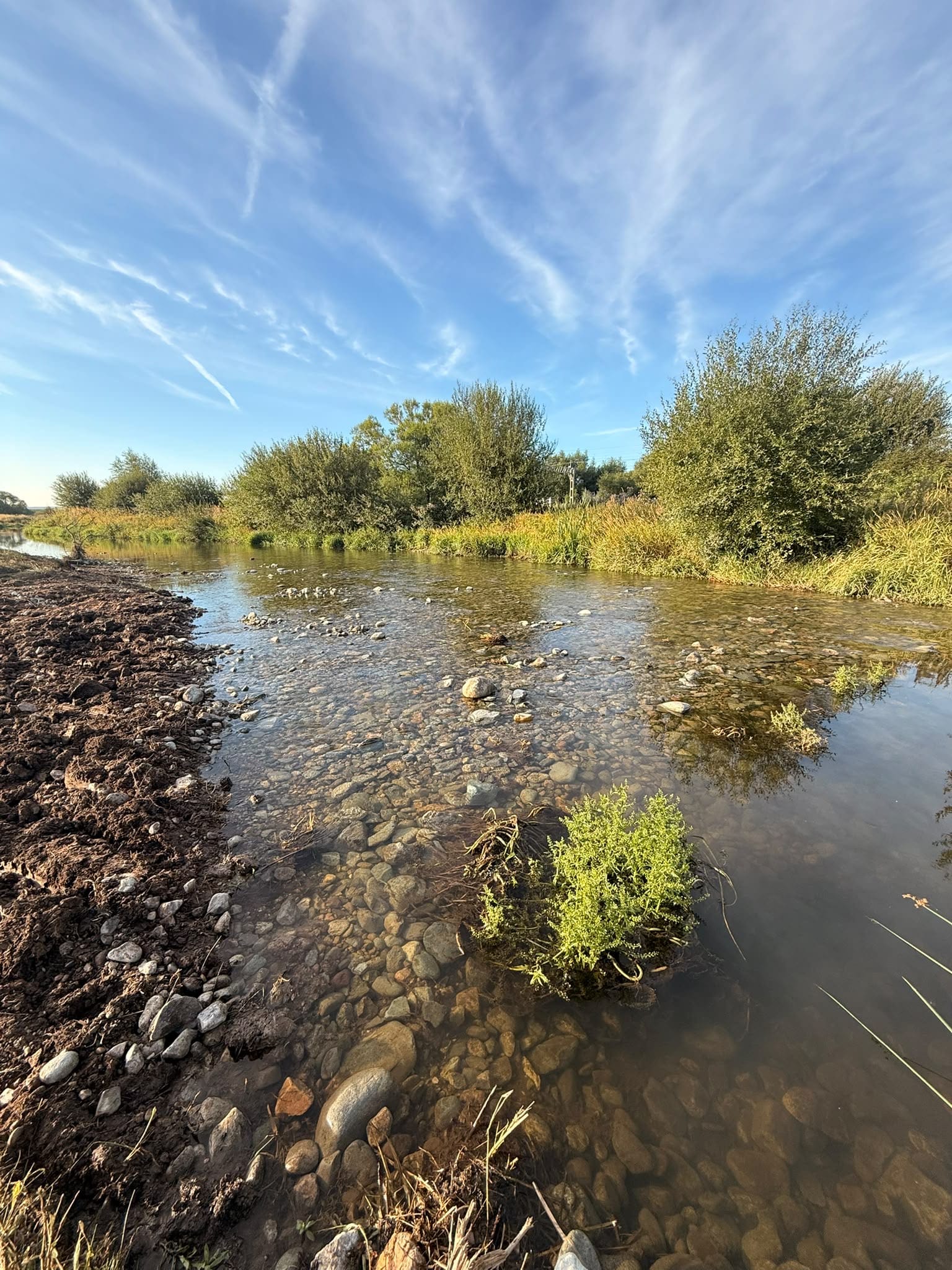 El Niño is coming but nature can help