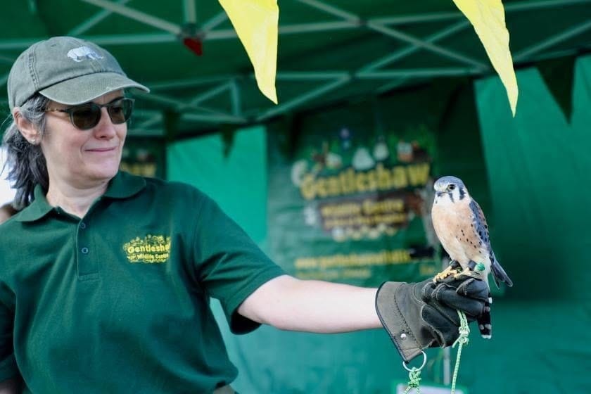 Eccleshall Show returns tomorrow for a great family day out in Staffordshire