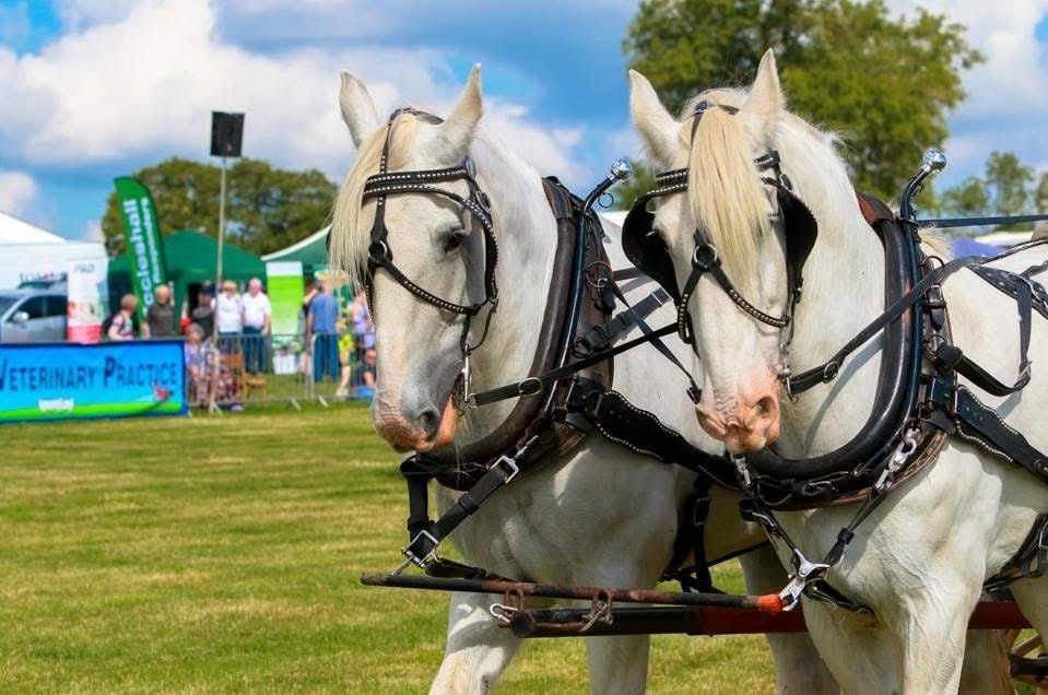 Eccleshall Show returns tomorrow for a great family day out in Staffordshire