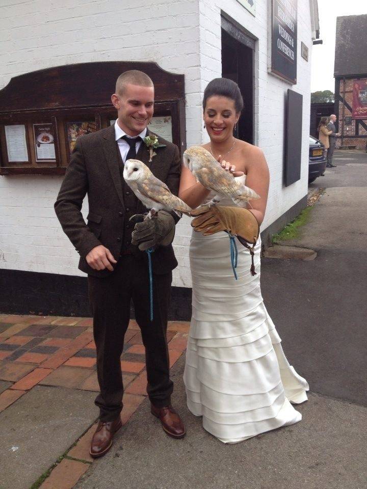 Staffordshire Owl Experience and Birds of Prey Rescue Sanctuary