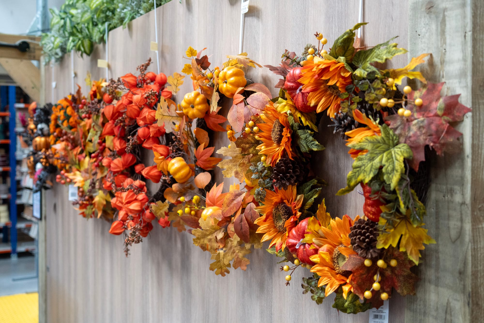 Spooktacular on a Shoestring: Halloween Crafting Has Landed at FWCS