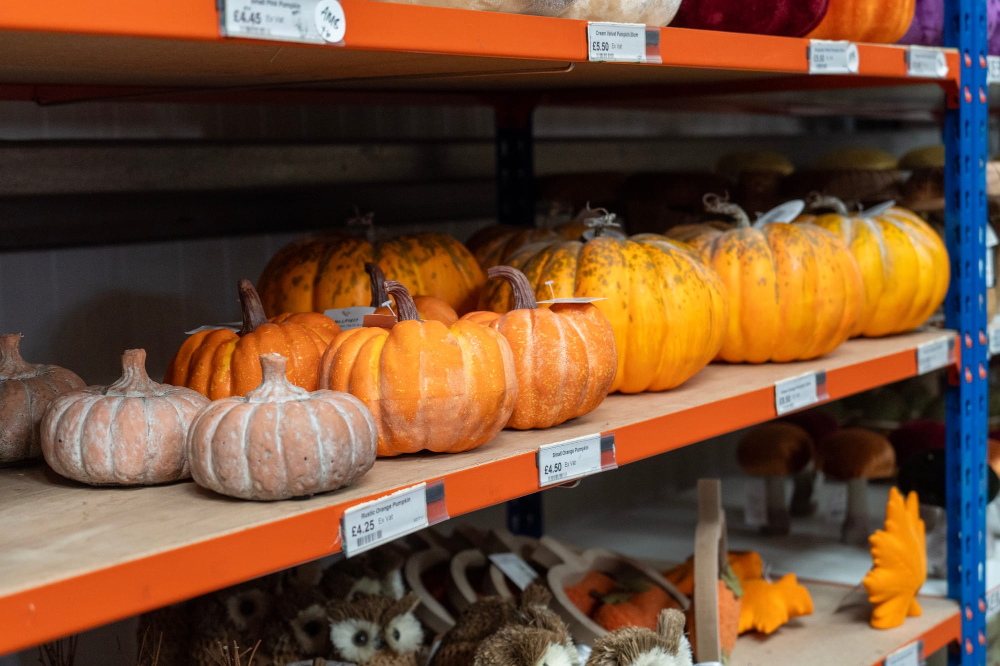 Spooktacular on a Shoestring: Halloween Crafting Has Landed at FWCS