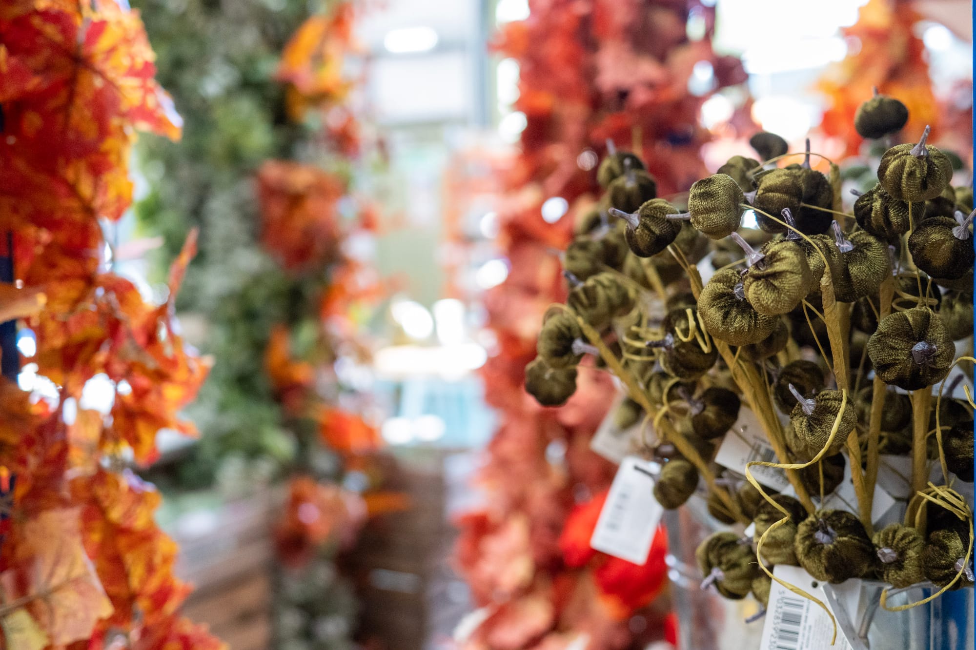 Spooktacular on a Shoestring: Halloween Crafting Has Landed at FWCS