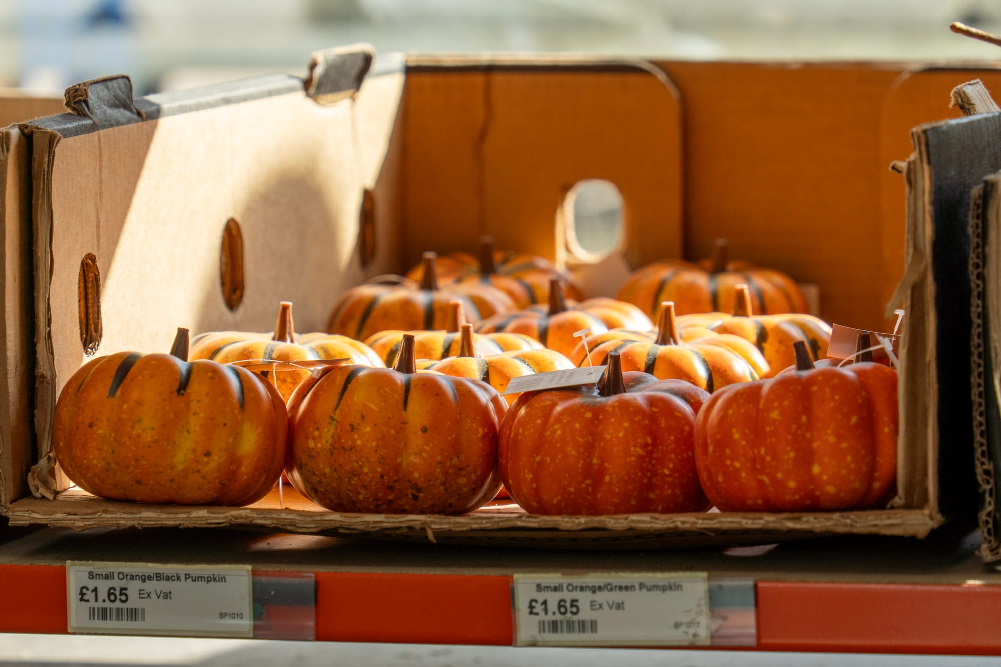 Spooktacular on a Shoestring: Halloween Crafting Has Landed at FWCS