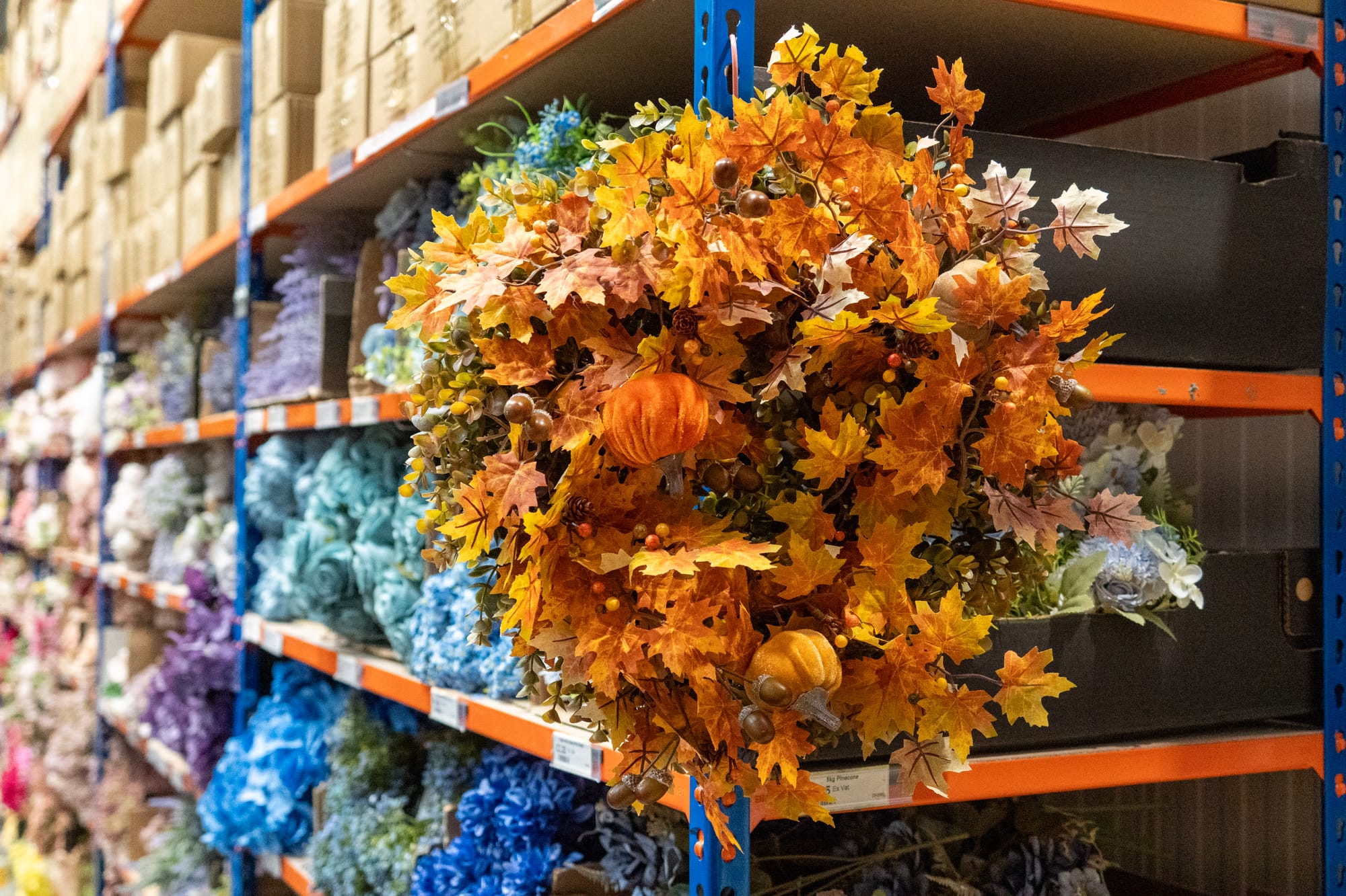 Spooktacular on a Shoestring: Halloween Crafting Has Landed at FWCS