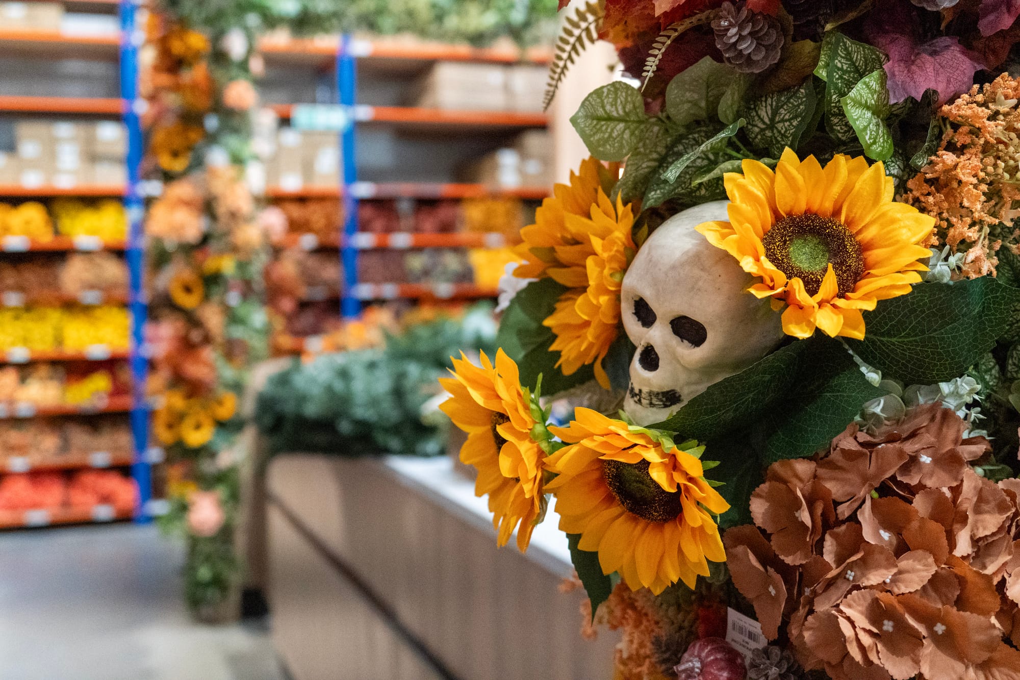 Spooktacular on a Shoestring: Halloween Crafting Has Landed at FWCS