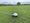 SatNav line marking for football pitches across Stafford borough