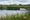 Wildlife at Stafford Wetland Set for Major Summer Boost as Restoration Work Begins at Doxey Marshes