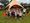 The Hubb Foundation’s six-week summer holiday programme