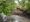 Staffordshire Wildlife Trust - Bucknall Park in Stoke on Trent Ebsford Environmental