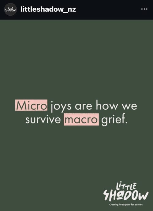 An image that says "micro joys are how we survive macro grief" credited to "little shadow - creating headspace for parents."
