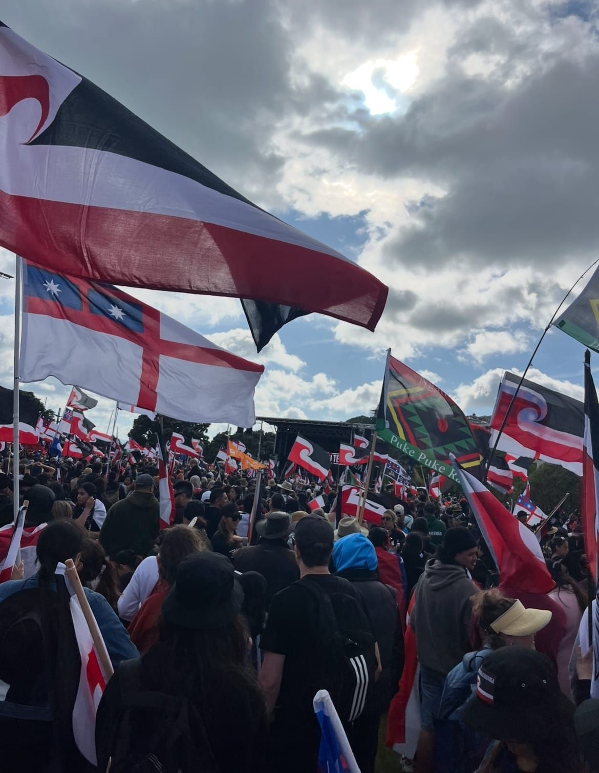 Explainer: Māori wards. What am I voting for and why?