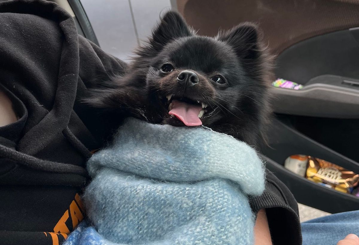 FNC - Stomp, clap, hey!