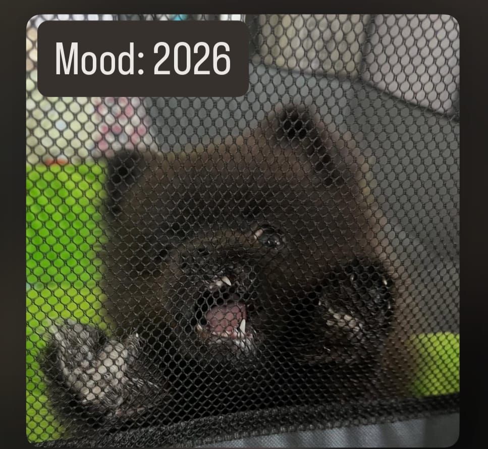 You WILL have a good 2026