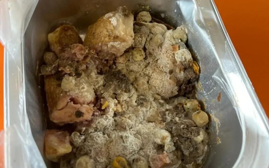 A photo of a mouldy school lunch, supplied by a parent to RNZ
