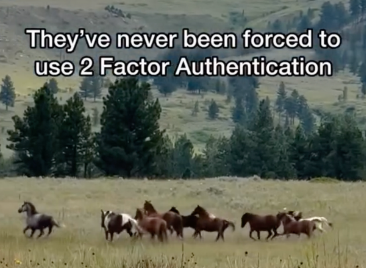 FNC: the hits don't stop coming