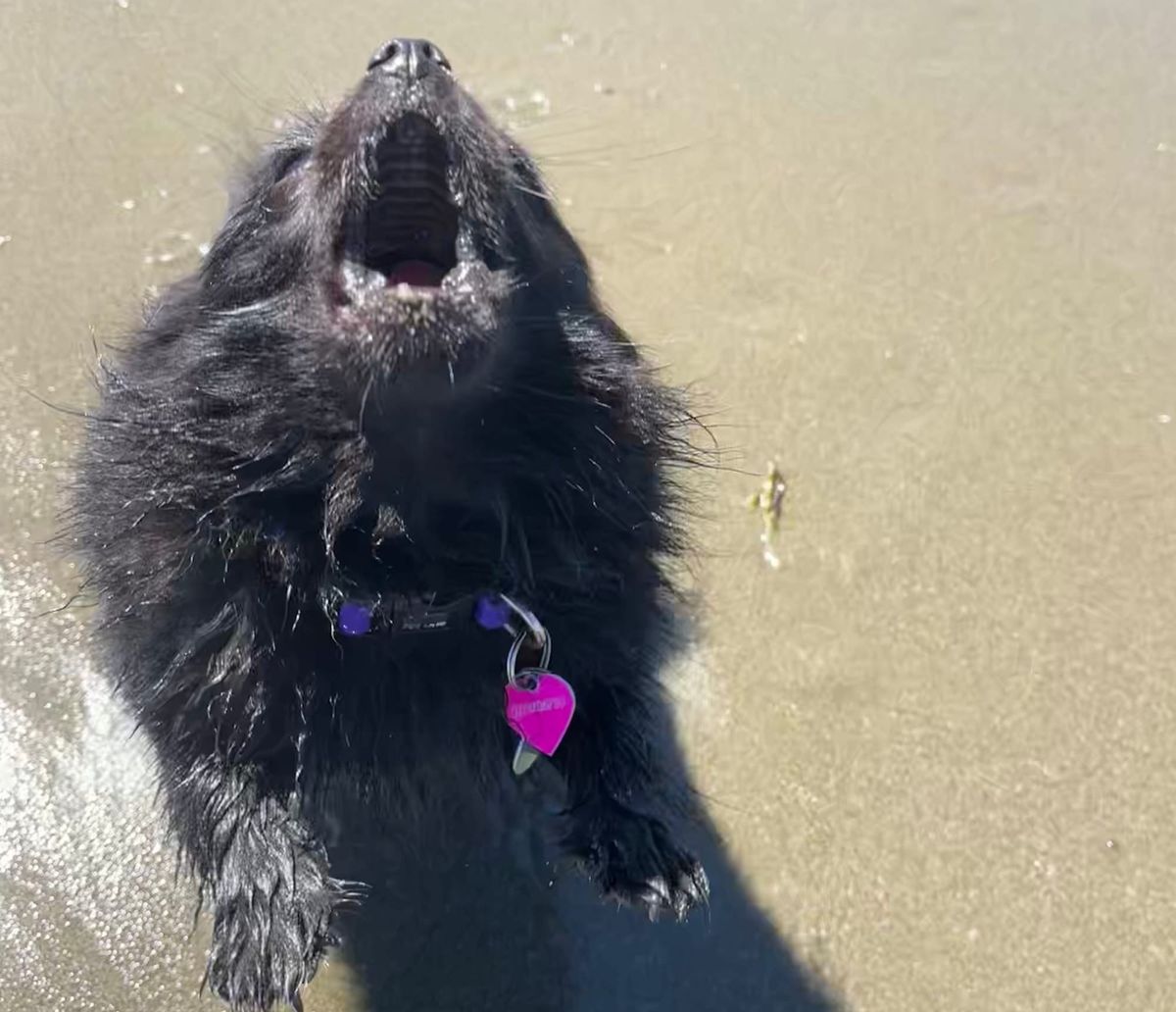 FNC - At least we have Big Fatty?