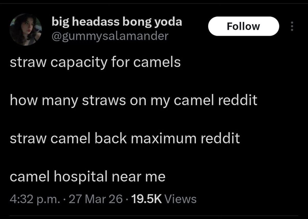 FNC: Easter long weekend recommendations + chats